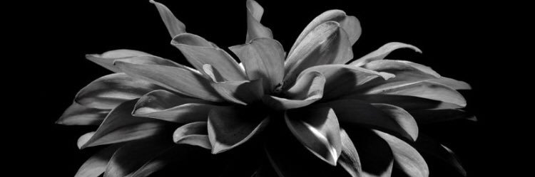 qqbm9b369's profile banner image