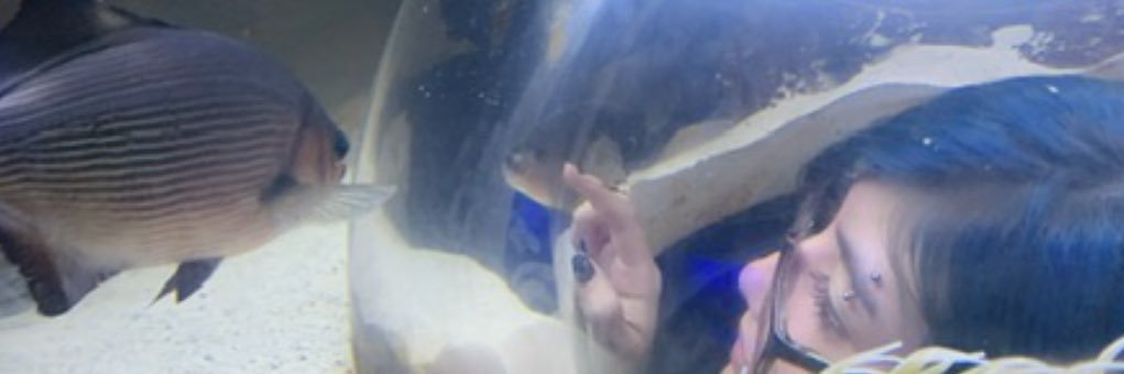 dropdeadcarmen's profile banner image
