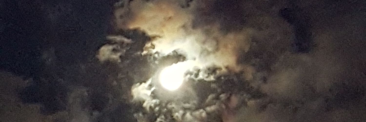 salytto's profile banner image