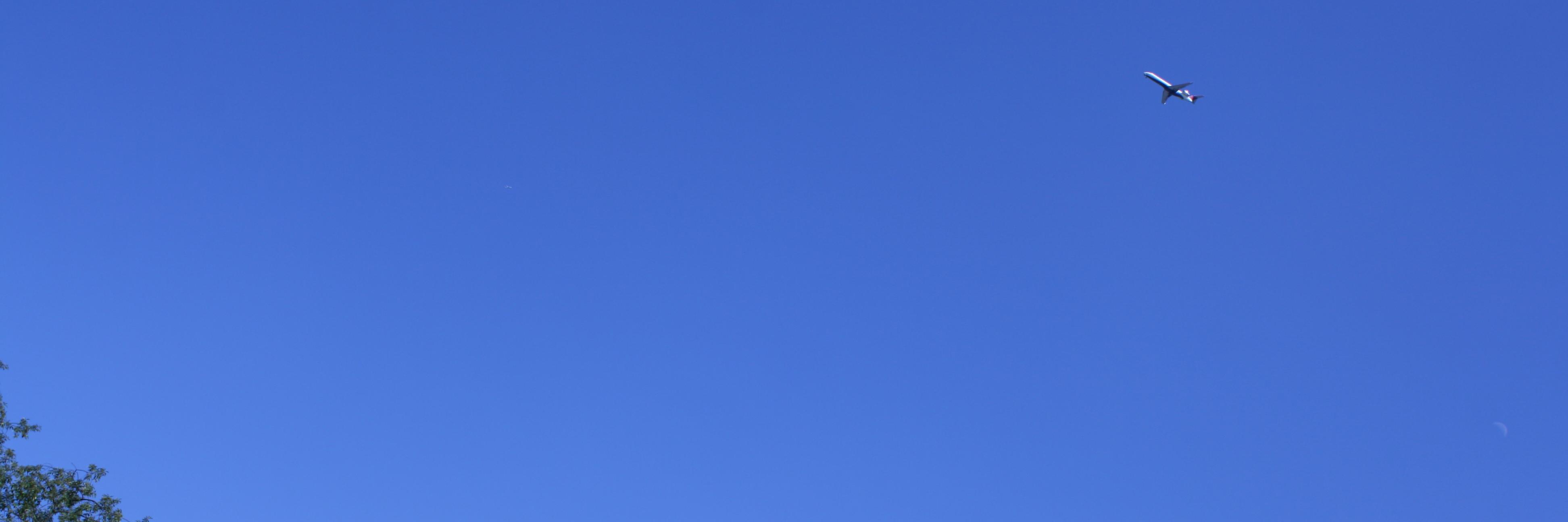 irideusa's profile banner image
