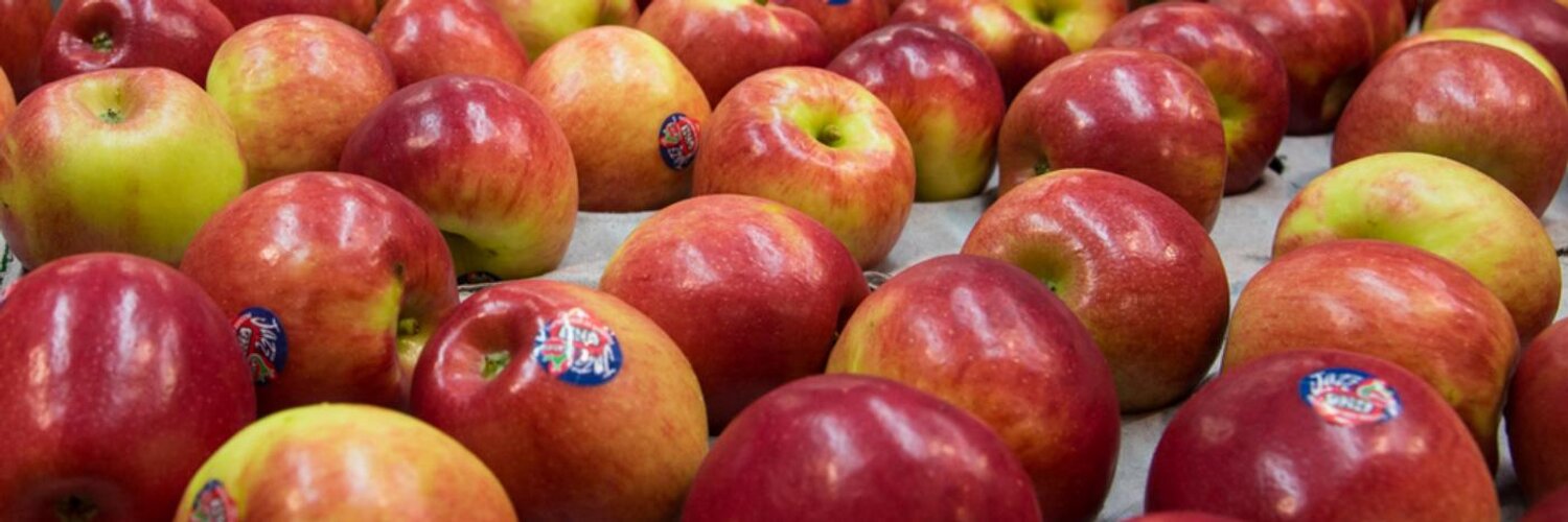 JAZZ Apple (JAZZAPPLES_NZ) Twitter