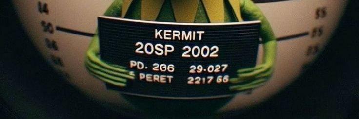 Master Kermit 🐸 banner