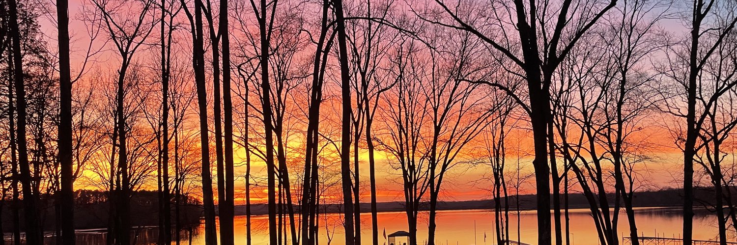 Scott D Stewart banner