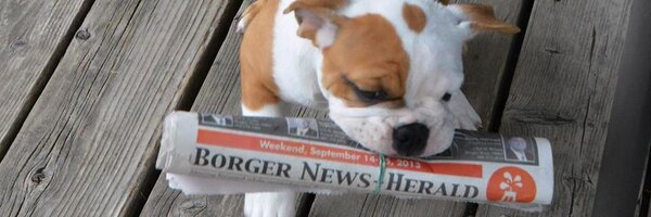 BorgerNews Profile Banner