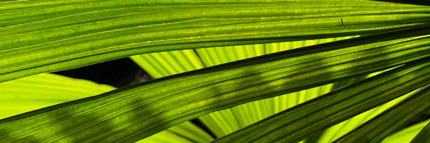 kritvenks's profile banner image