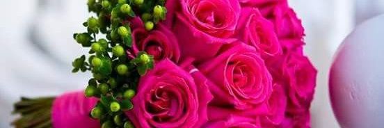 duda_priscilla's profile banner image