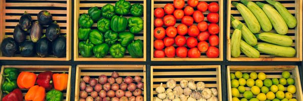 SallieNevius Profile Banner