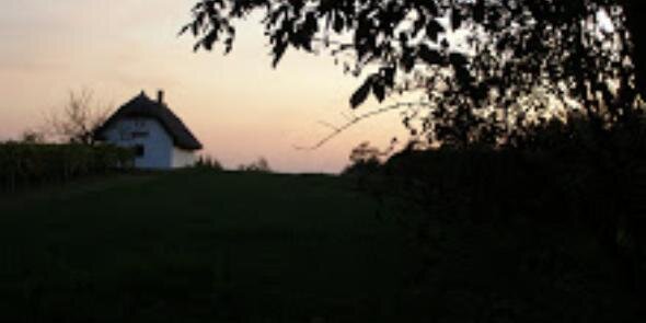 CMMOB's profile banner image