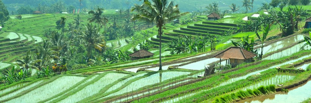 Sukardi431's profile banner image