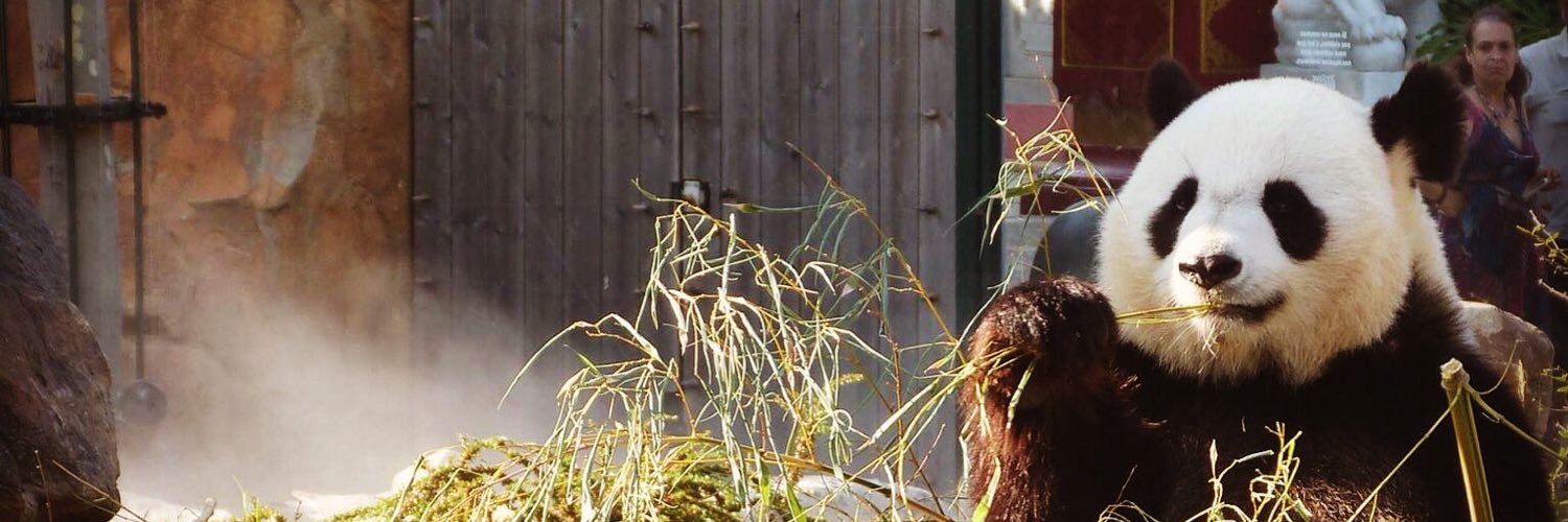 Audrey_Baggenst's profile banner image