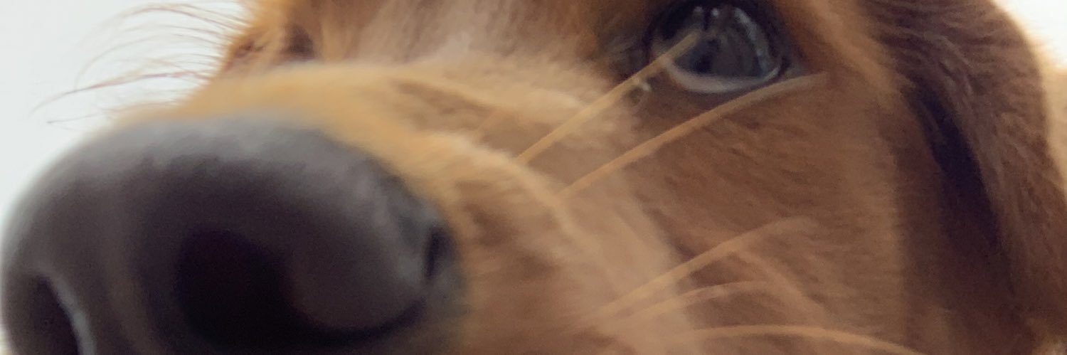 not_brooke's profile banner image