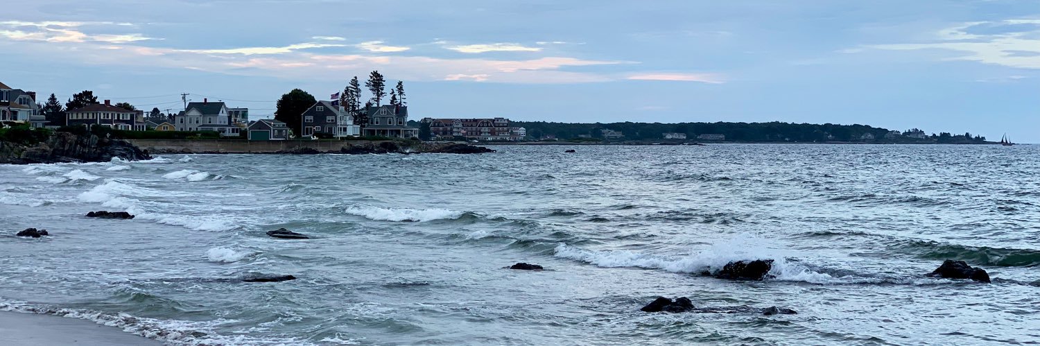 𝙱𝚛𝚊𝚍 𝙱𝚎𝚕𝚒𝚗 banner