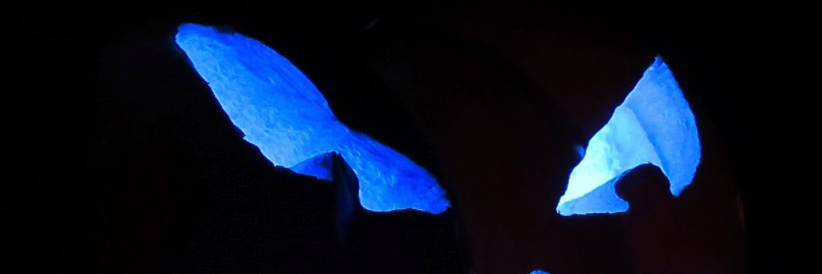 Dumpling_Pond's profile banner image