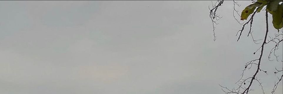 iwe499's profile banner image