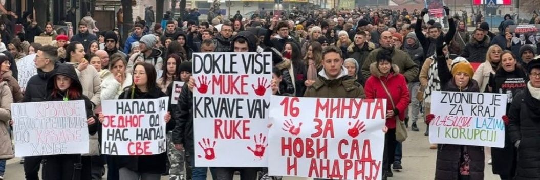 Jelena Spirić's banner