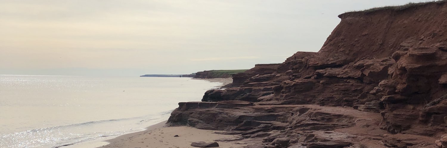 Nicole G. Hammond banner