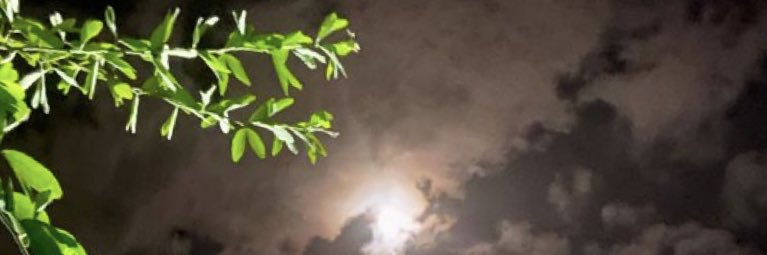 Rkhashoggi's profile banner image