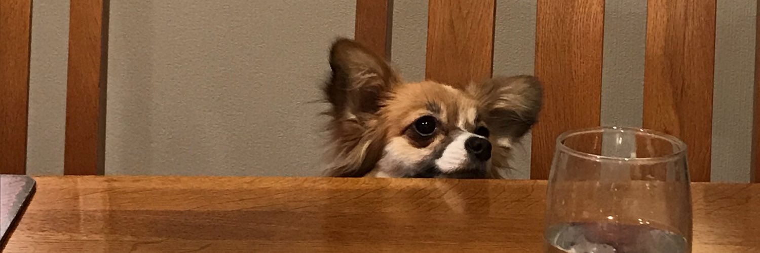 RealRollie's profile banner image