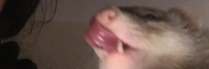 abymoraleja's profile banner image