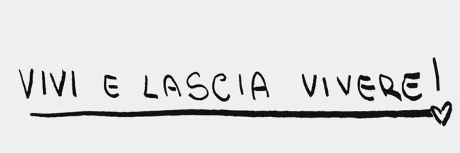 fefeguarda's profile banner image