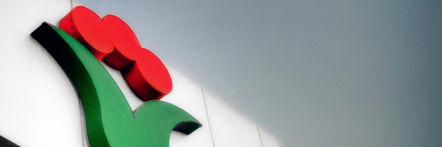 VannucciPiante's profile banner image