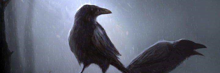 AntoLucas1's profile banner image