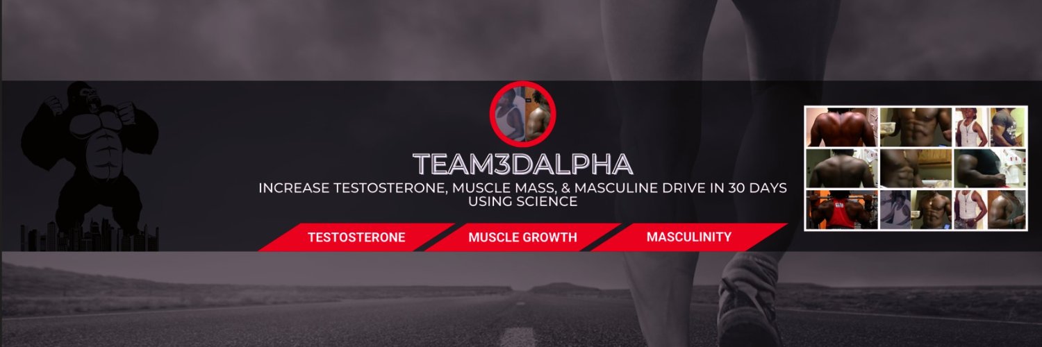 Team3DAlpha's profile banner image