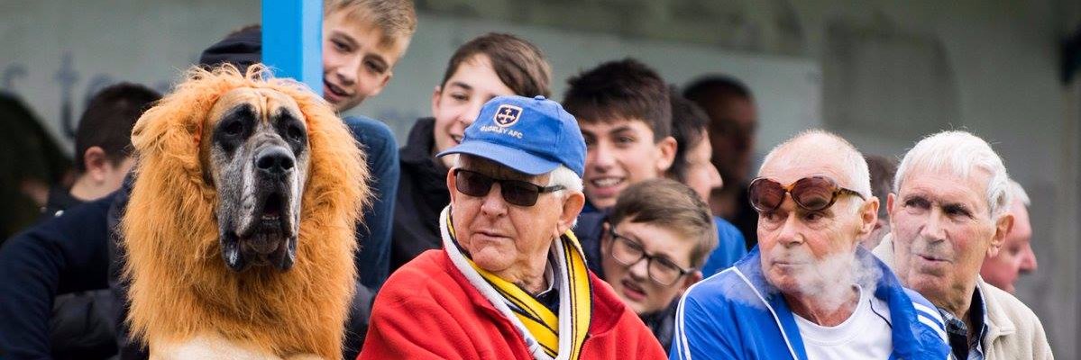 Franciobn's profile banner image