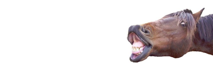 NLYarbrough's profile banner image
