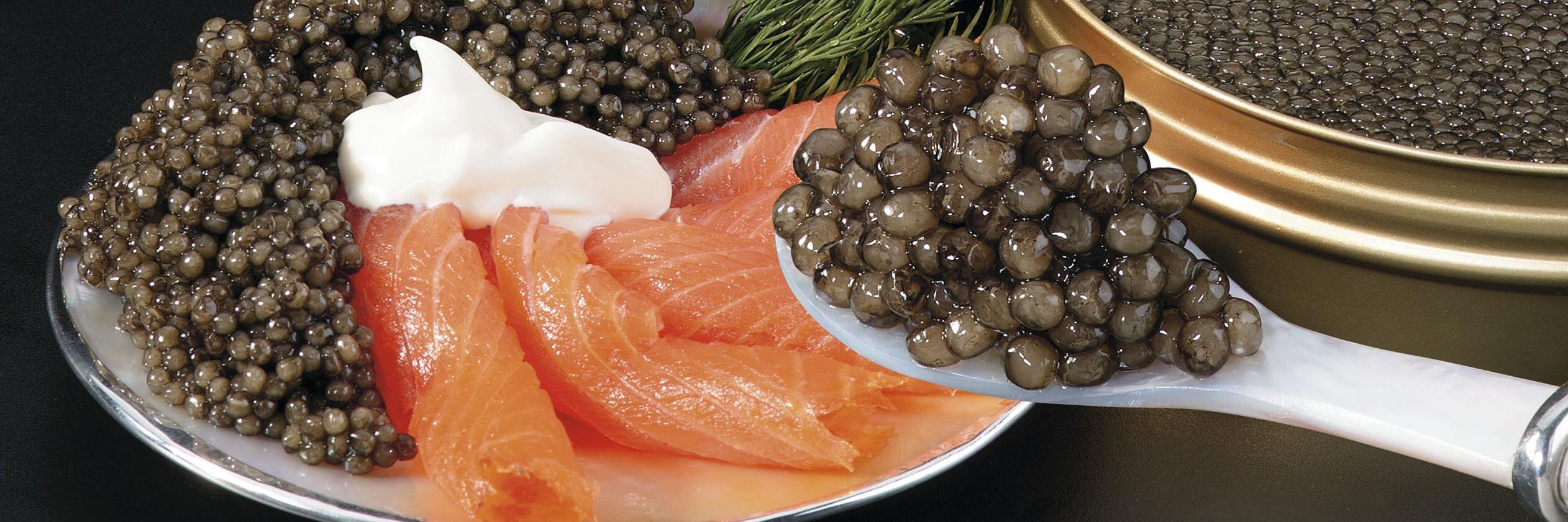 Browne Trading Co. banner