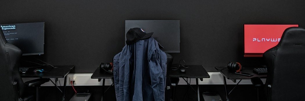 Playwell Hovi banner