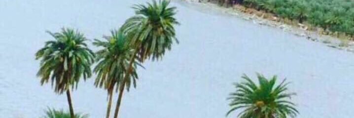 S_Harfash's profile banner image