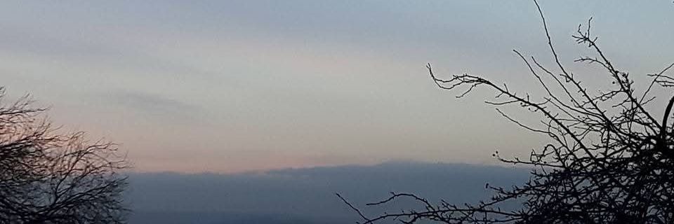 The Custardonian banner