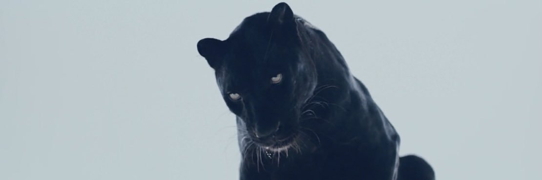 TrenePayne's profile banner image