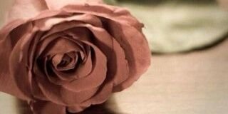 hamad4794's profile banner image