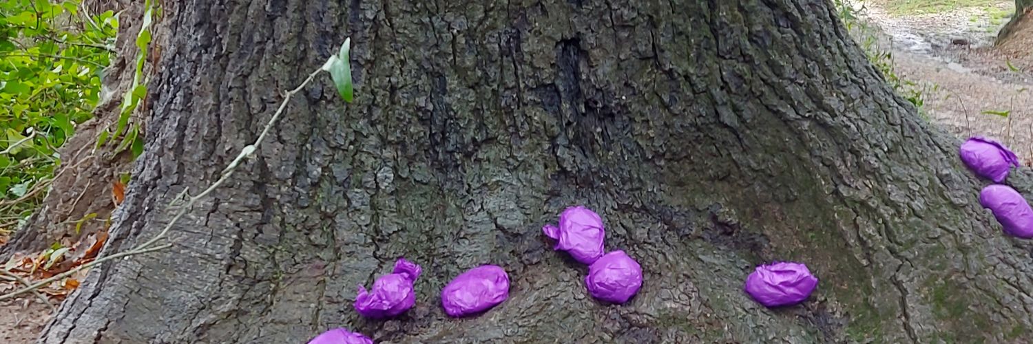 mesmerats's profile banner image