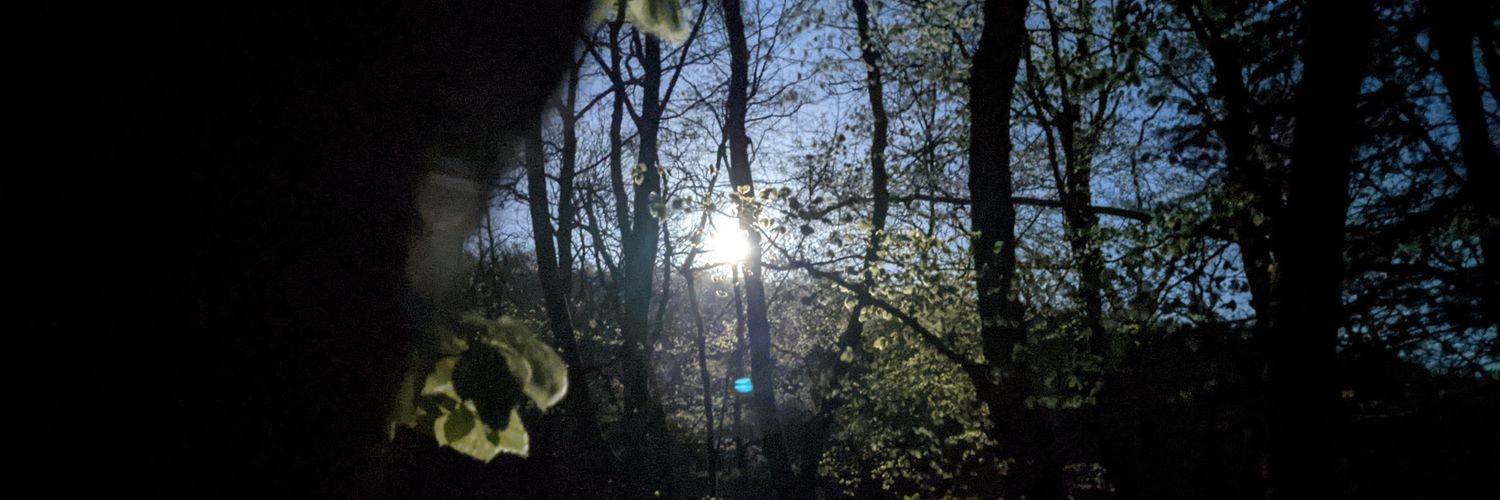 Letouzé Thierry banner