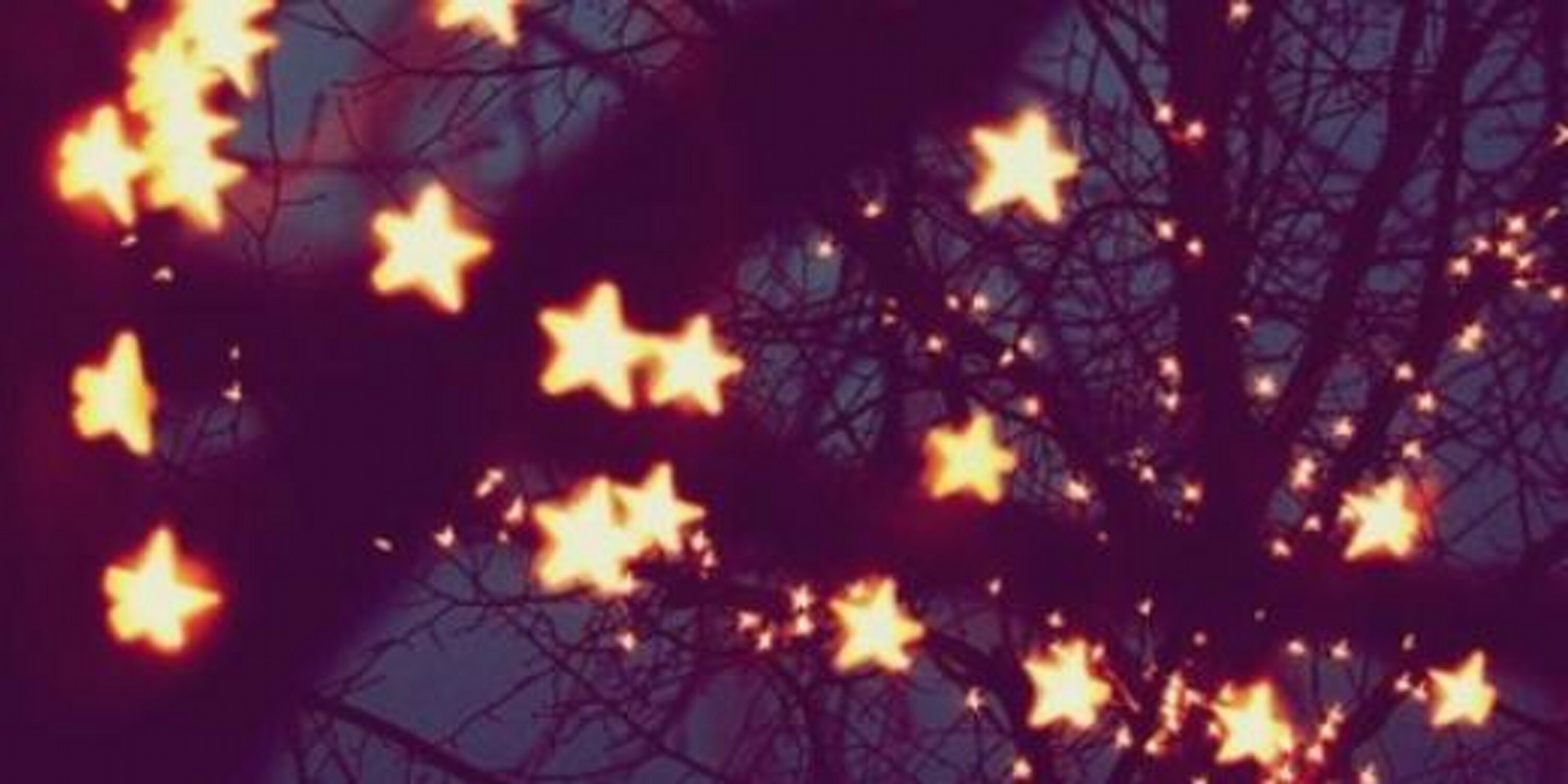 eva_love_'s profile banner image