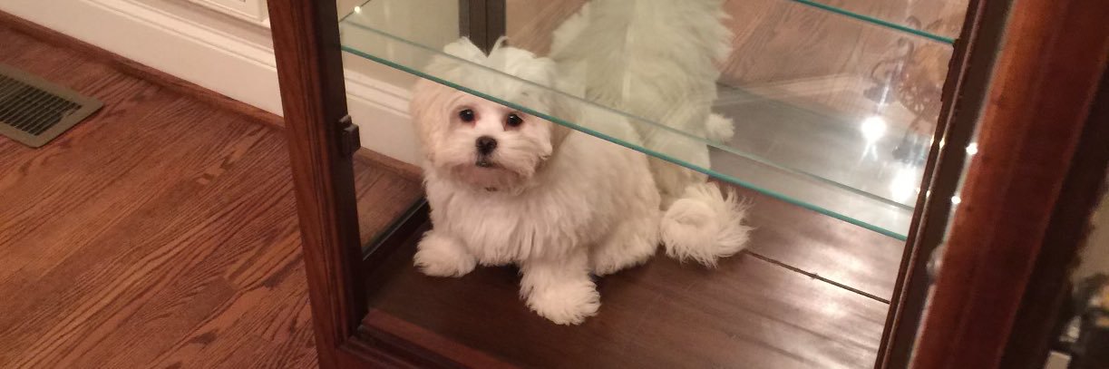 BamaFootballFan ⭐️⭐️⭐️ banner