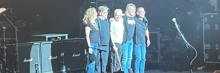 Stronger than M.S. banner