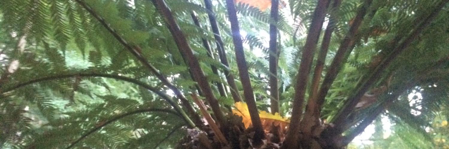 Guantanamo Baywatch❕ banner