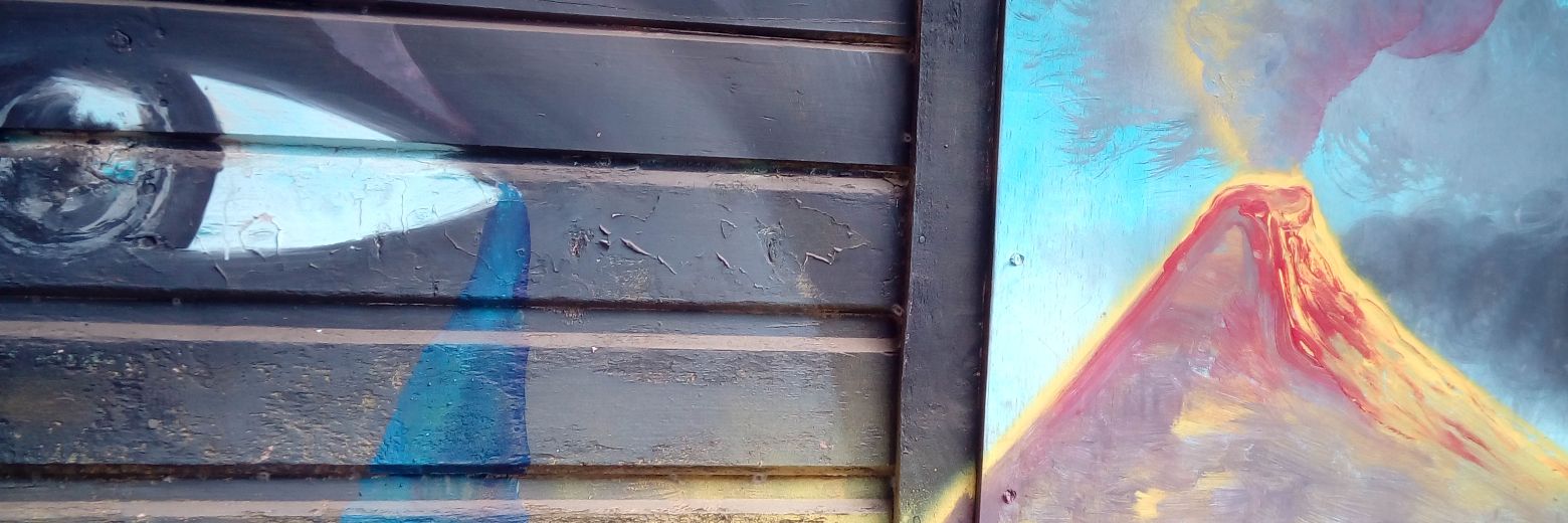 selavy2014's profile banner image