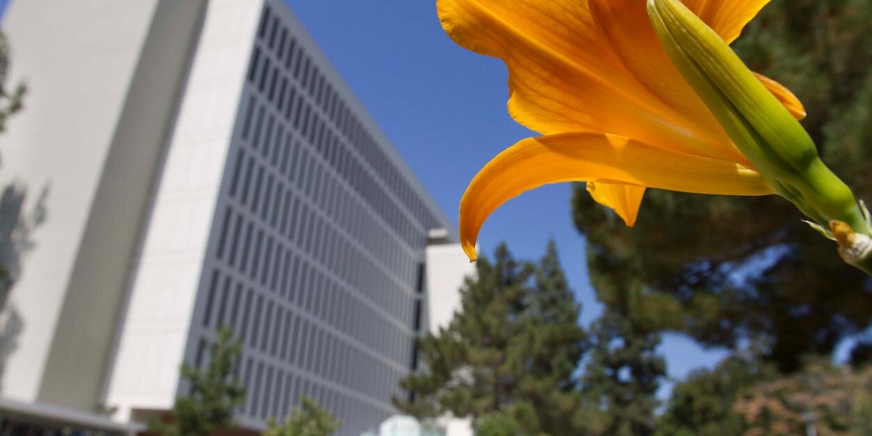 CSUF H&SS banner