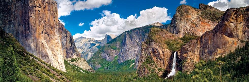 Geoff Rubin MD MBA banner