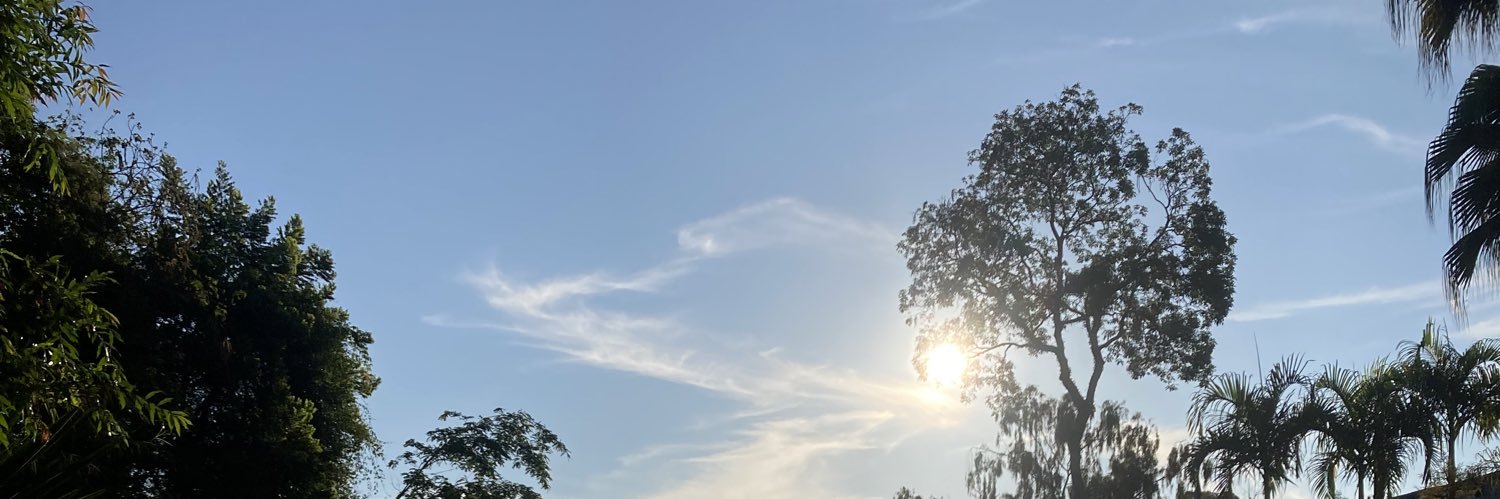 ptiguera's profile banner image