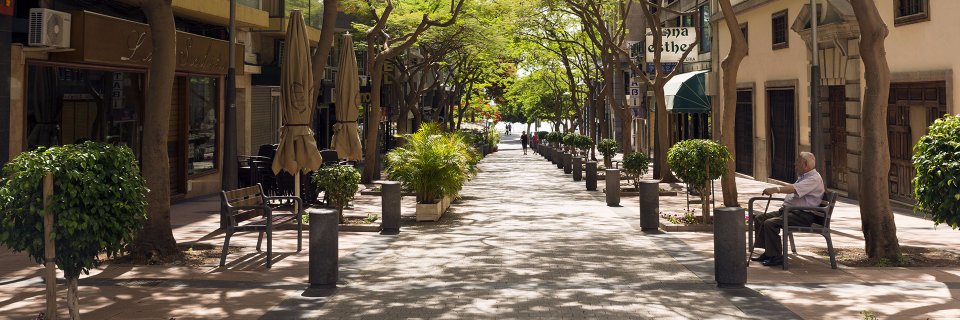 SCC Business Council banner