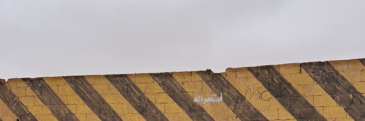 د. هيفاء العنزي🇸🇦 banner