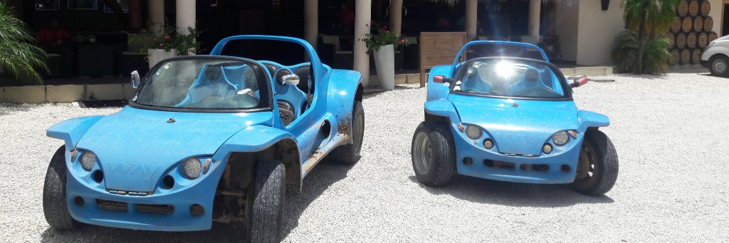 funbuggy's profile banner image