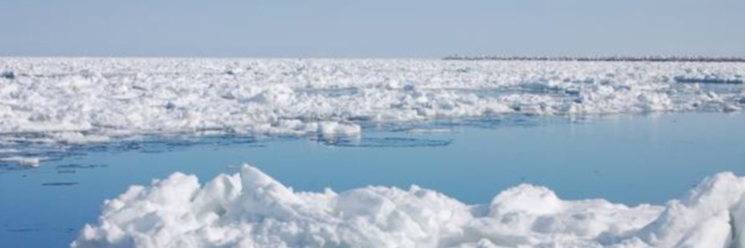 basilreef's profile banner image