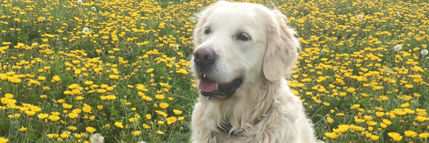 hicksleigh's profile banner image